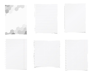 Set of ripped white, ruled, math notebook paper are stuck on background