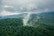 Evaporation over the forest after rain in the Carpathians