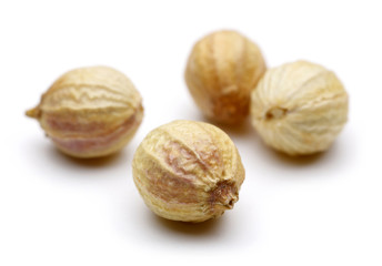 Sticker - Coriander seeds isolated on white