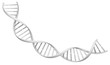 White spiral DNA stran