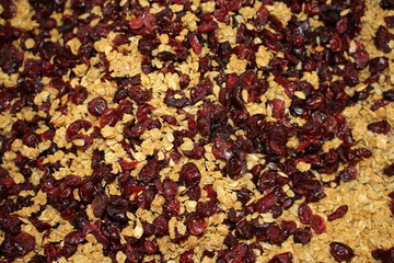 Poster - a bowl of dried cranberries and oats