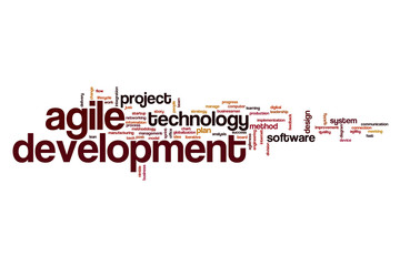 Wall Mural - development word cloud concept