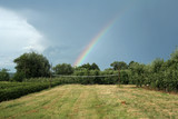 Fototapeta Tęcza - rural landscape with rainbow