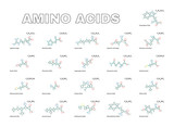 Fototapeta  - Amino acids set