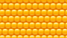 Corn Background 04 Try