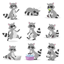 Cartoon Raccoon Vector Illustration.