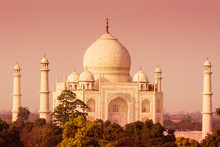 The Taj Mahal As Seen Over The Treeline From A Distance With A Warm Tone.