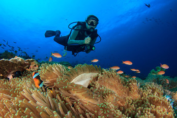 Wall Mural - Scuba dive. Coral reef underwater and female scuba diver
