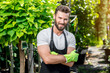 Portrait of handsome gardener in black apron and working gloves in the greenhouse.