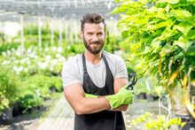 Portrait Of Handsome Gardener In Black Apron And Working Gloves In The Greenhouse.