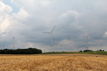 Windmill generator in wide yard / Yard of windmill power generatorunder blue sky, shown as energy industry concept