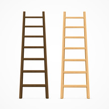 Set Of Various Ladders. Vector