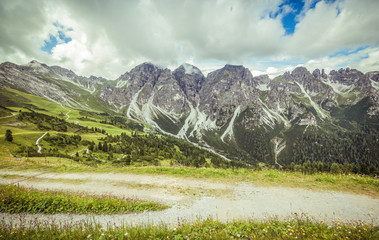 Mountain landscape with trail, green meadow and forest