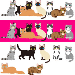  様々な種類の猫のイラストセット