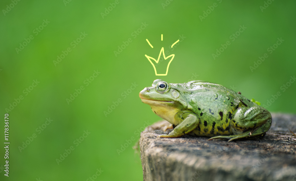 Cute frog princess or prince. Toad painted crown, shooting outdoor