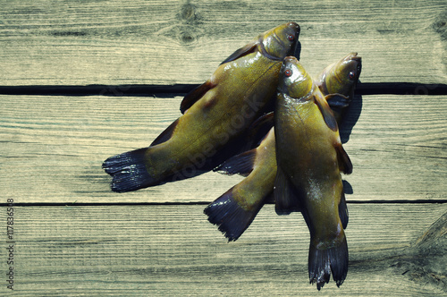 Fotografia, Obraz Three tenches on a wooden surface (Tinca tinca). Catch