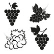 Vector set of abstract grapes icons.