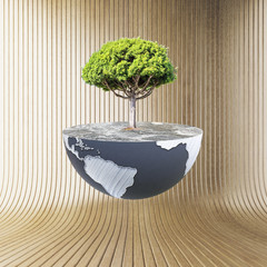 Poster - Globe with tree, wooden background