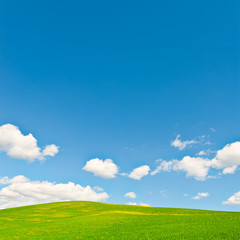 Canvas Print - Green Meadows