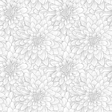 Beautiful Black And White Seamless Pattern In Dahlia.