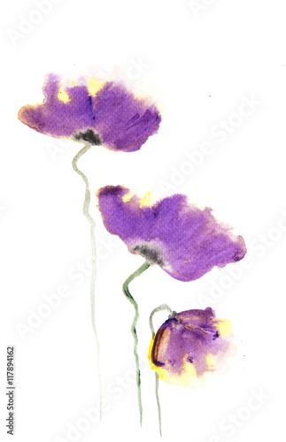 Acrylic Color Painting Of Purple Poppy Flowers On White Buy This
