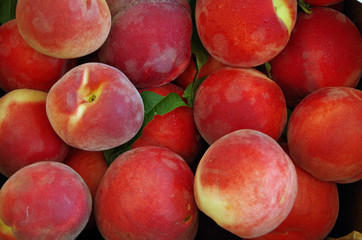 Wall Mural - Soft and fuzzy peaches displayed for market close-up