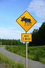 A Yellow Moose Crossing Sign In Alaska