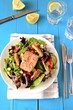 Fresh and Healthy Salmon Salad, top view