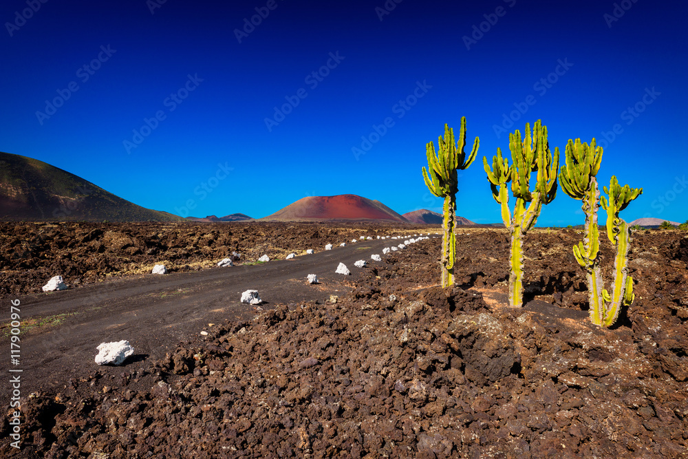Road in the Fire Mountains, part of Timanfaya National Park, Lanzarote, Canary Islands, Spain - obrazy, fototapety, plakaty 