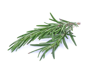 Wall Mural - Rosemary isolated on white background