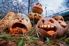 Group Of Halloween Pumpkin