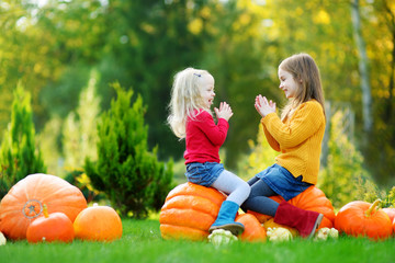 two pretty little sisters having fun together on a pumpkin patch