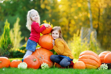 Two pretty little sisters having fun together on a pumpkin patch
