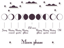 The Phases Of The Moon. The Whole Cycle From New Moon To Full. Vector Illustration.