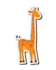 Wall Mural - flat design giraffe cartoon icon vector illustration