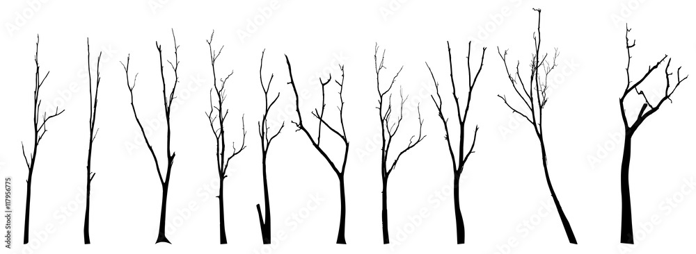 vector black silhouette of a bare tree - obrazy, fototapety, plakaty 