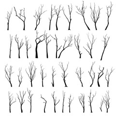 dead tree without leaves vector illustration sketched