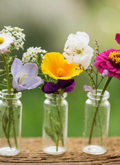 Canvas Print - nice flowers in the bottles