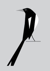 Minimalistic image of magpie2