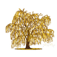 Wall Mural - detached tree willow with yellow leaves