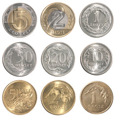 Wall Mural - Full set of Poland coin