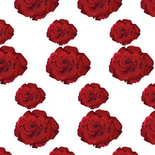 Watercolor Dark Red Rose Pattern. Vector Rose Flower For Background Greeting Cards And Invitations Of The Wedding, Birthday, Valentine's Day, Mother's Day