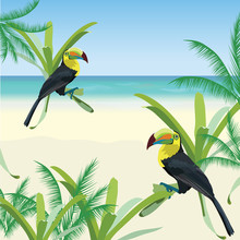 Exotic Tropical Card With Toucan Parrot Birds And Flowers. Vector Summer Beach Background Illustration