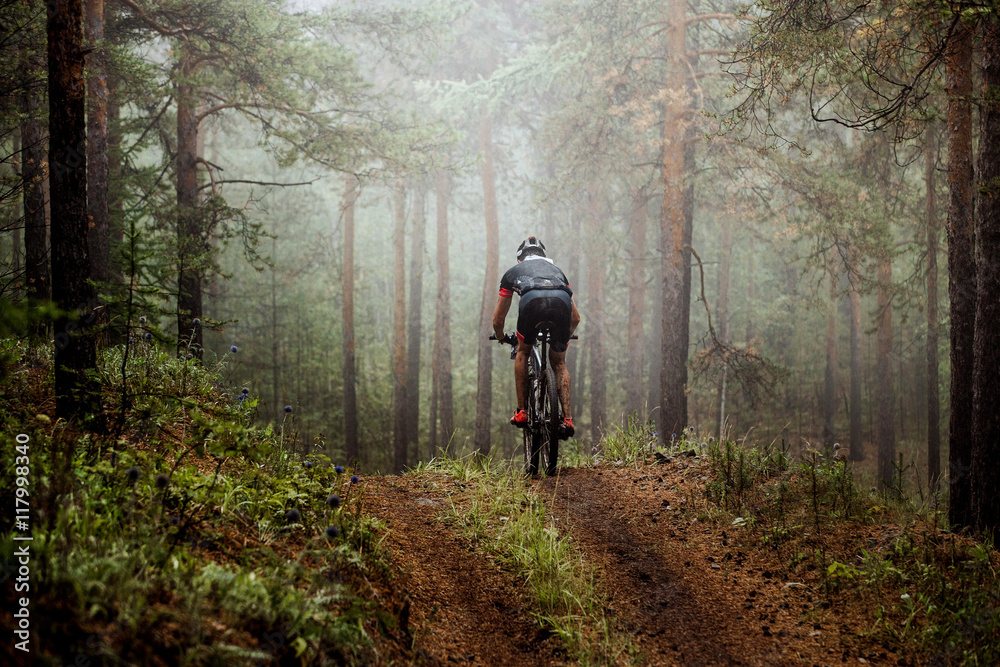 male athlete mountainbiker rides a bicycle along a forest trail. in forest mist, mysterious view - obrazy, fototapety, plakaty 