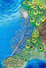 Original painting of peacock feathers