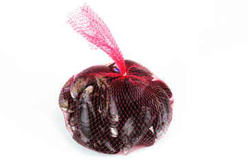 fresh mussels in the plastic net bag
