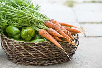 Basket full of fresh organic vegetables: paprika, carrots on concrete background. Healthy food and gardening concept.