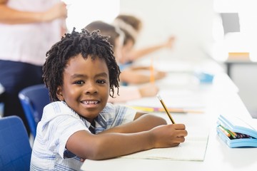 Poster - School boy doing homework in classroom