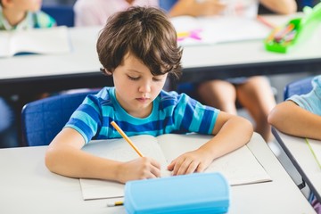 Poster - Schoolboy studying in classroom