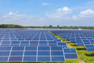 Wall Mural - photovoltaics module solar panels in solar farm station